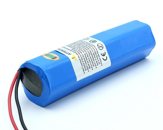 Lithium-Ion Batteries